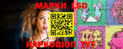 крисы Камышлов