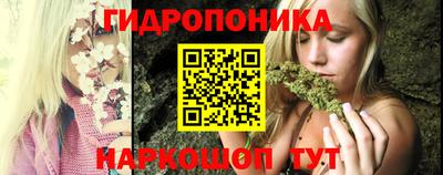 крисы Камышлов