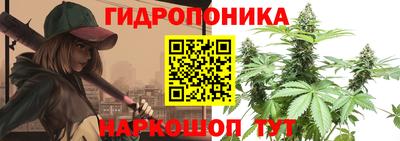 крисы Камышлов