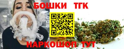 крисы Камышлов