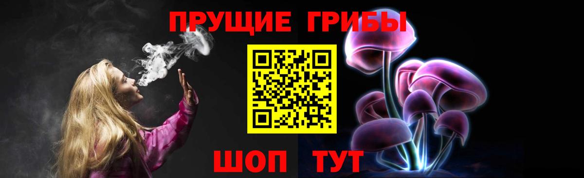 Псилоцибиновые грибы мицелий Чусовой